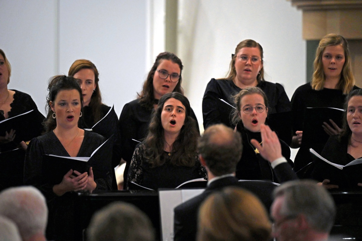 Concertagenda afbeelding