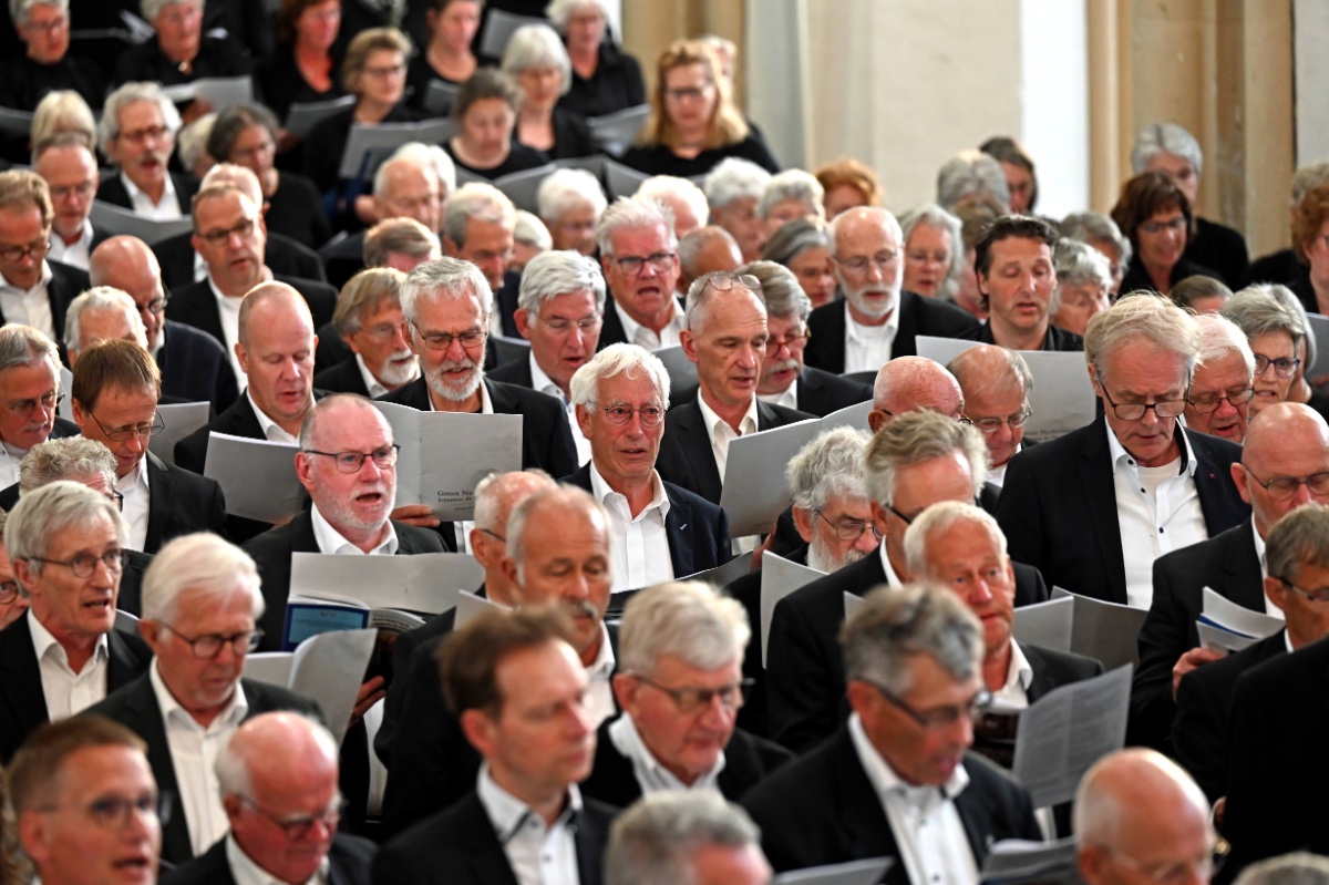 Concertagenda afbeelding