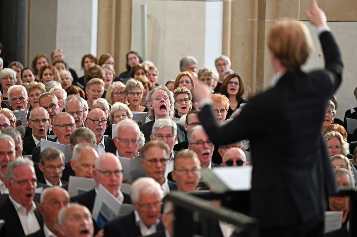 Concertagenda afbeelding